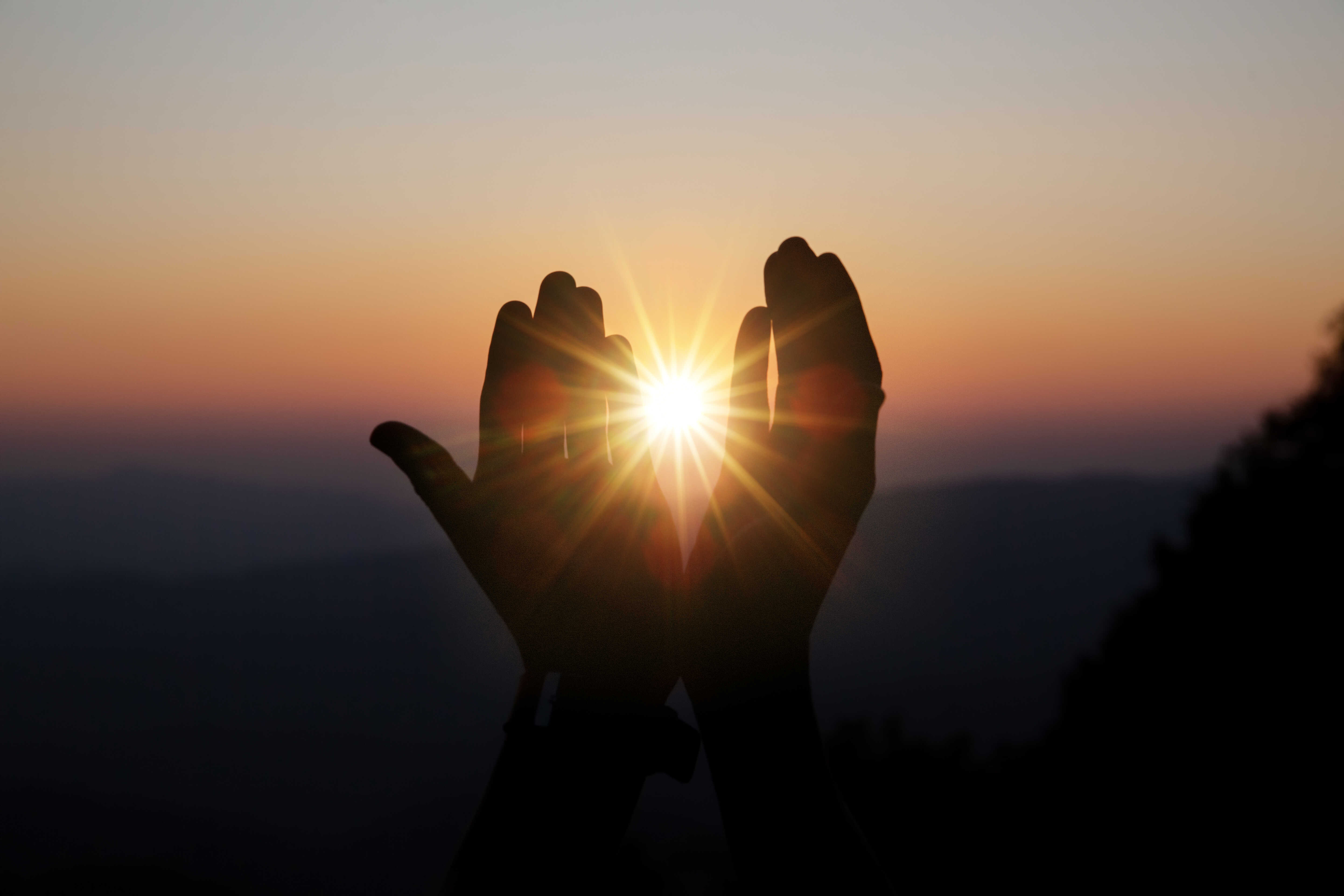 Image of hands raised in sunlight